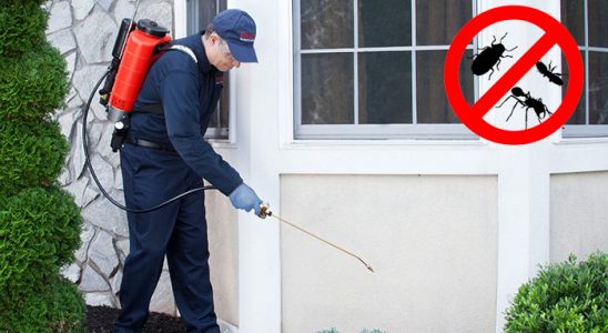 Narlıdere Dezenfeksiyon böcek ilaçlama ve haşere kontrolü — ilaclama-tr.com